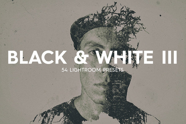 54 B&W Lightroom Presets Vol. III - Premium Lightroom Presets - Dreams & Spark
