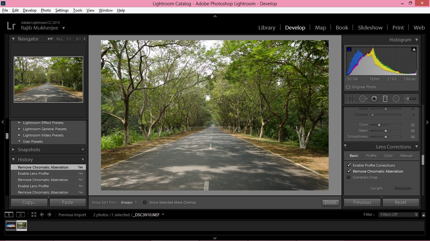 How to Give Your Shots the Cinematic Look in Lightroom – photo 2