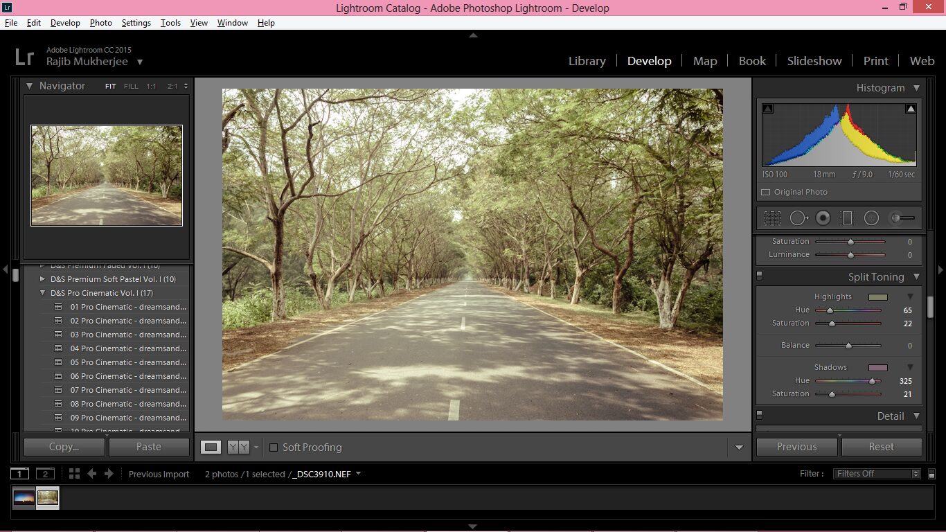 How to Give Your Shots the Cinematic Look in Lightroom – photo 5