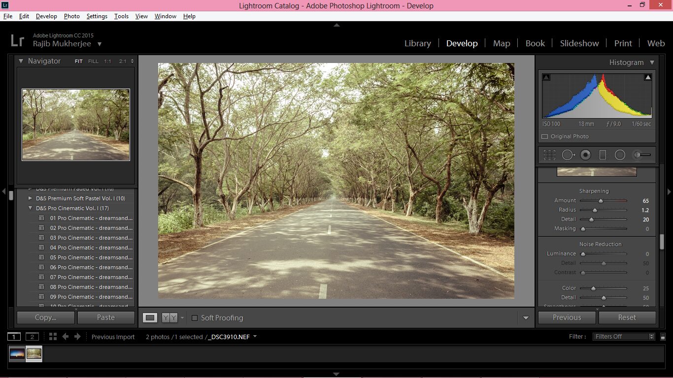 How to Give Your Shots the Cinematic Look in Lightroom – photo 6