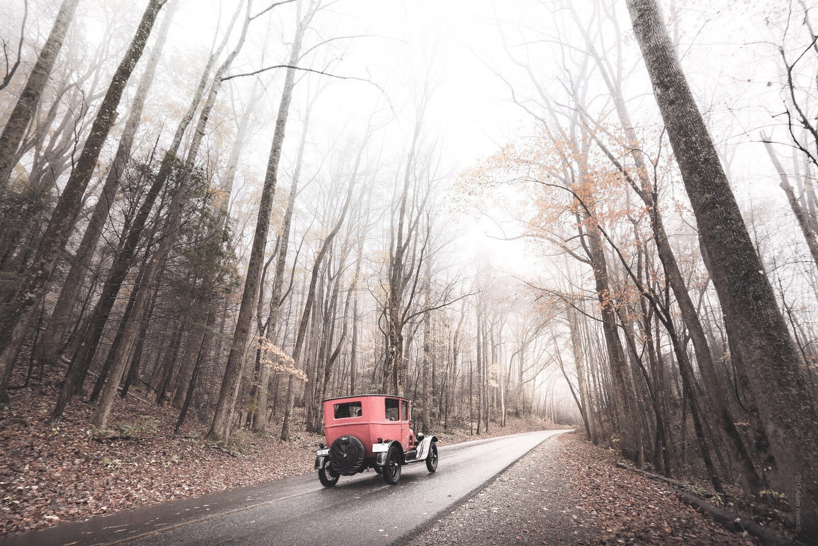 How To Vintage: Post-Tone Curve