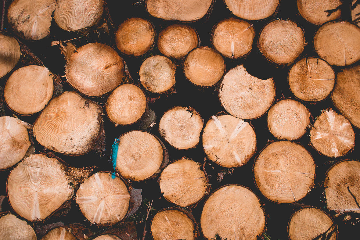25 Spring Color Lightroom Presets – edited with the preset