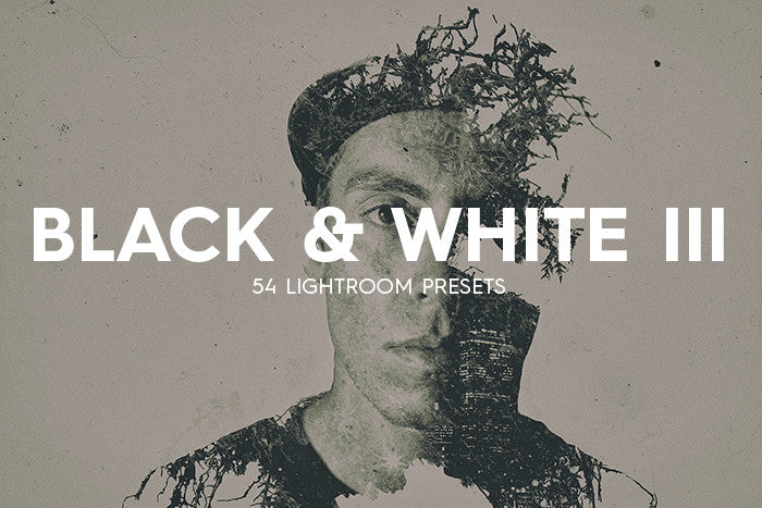 54 B&W Lightroom Presets Vol. III: product cover