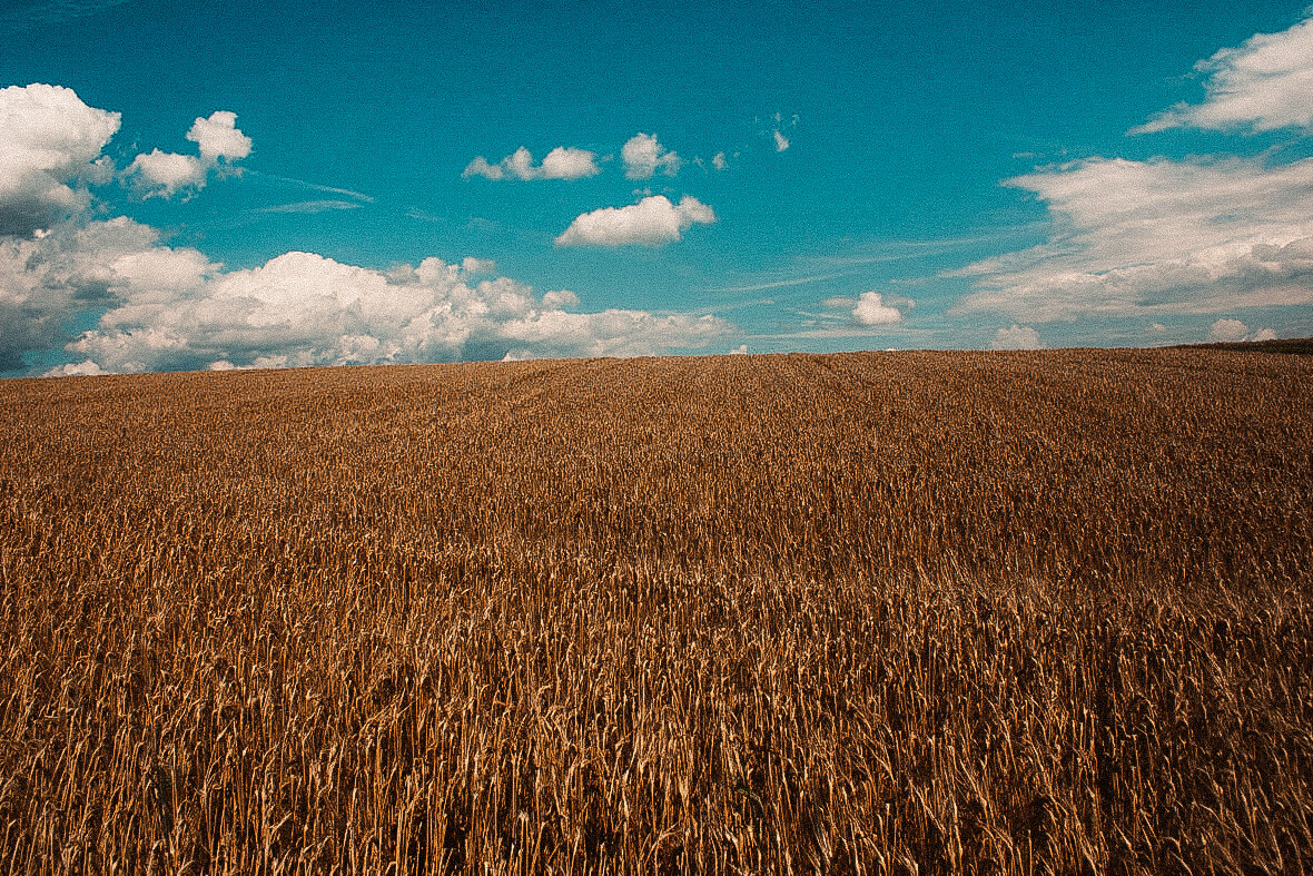 15 Golden Hour Lightroom Presets – edited with the preset