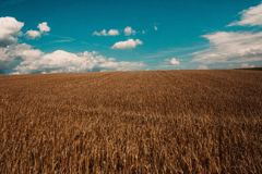 Example 1: 15 Golden Hour Lightroom Presets – edited with the preset